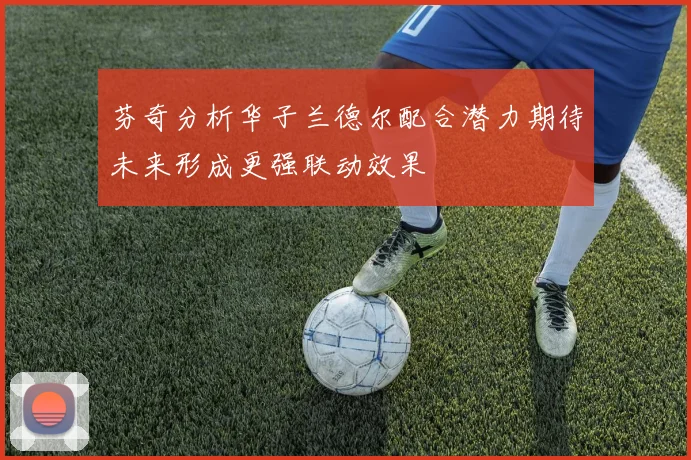 芬奇分析华子兰德尔配合潜力期待未来形成更强联动效果